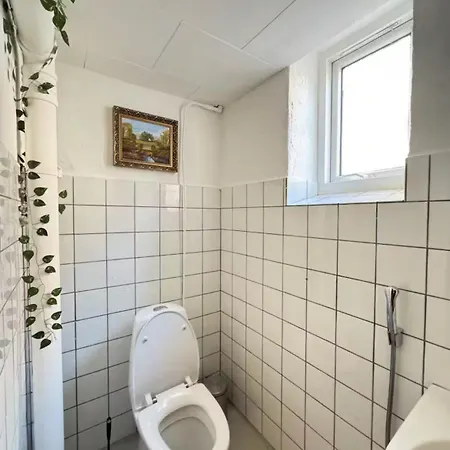 Comfortable In Center Homestay